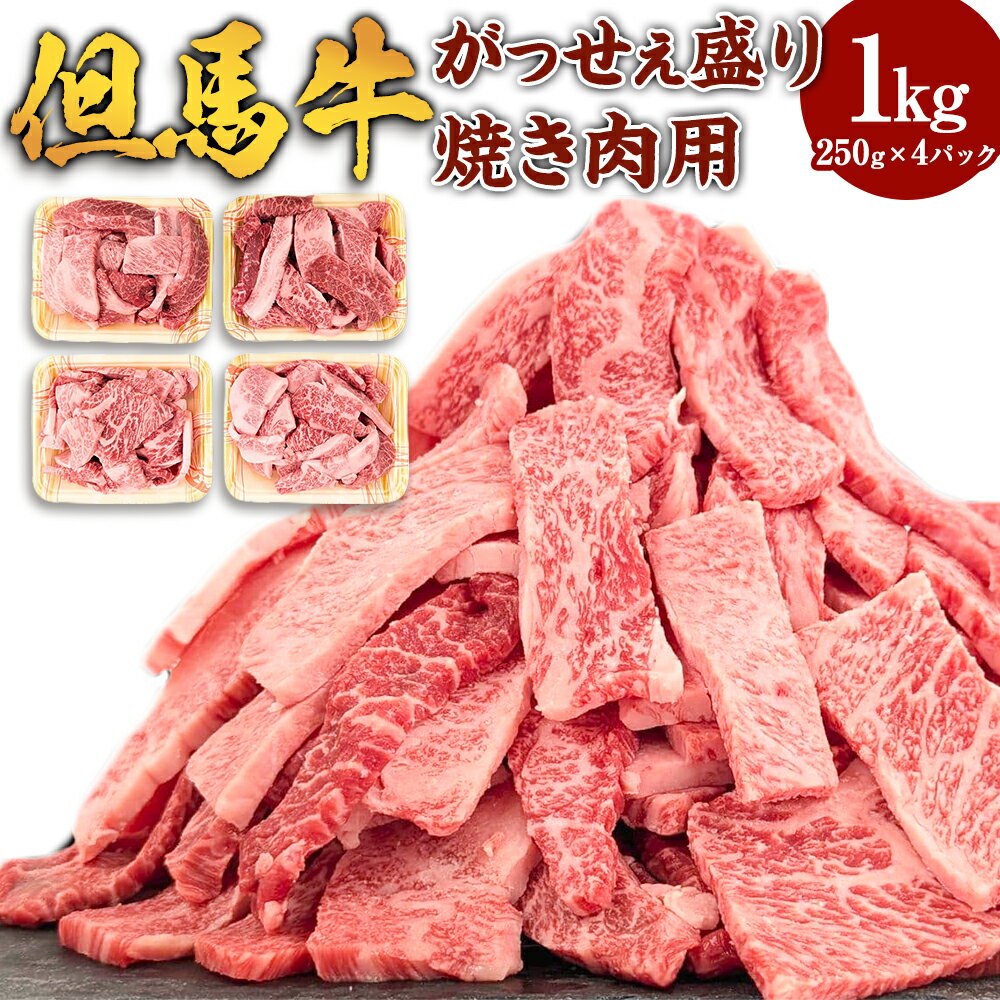 但馬牛 がっせぇ盛り(焼肉用・1kg)250g×4パック 小分け 肉 牛肉 お肉 赤身 バラ バラ肉 ばら 国産 黒毛和牛 和牛 焼肉 焼き肉 BBQ お取り寄せ 冷凍 兵庫県 新温泉町 送料無料