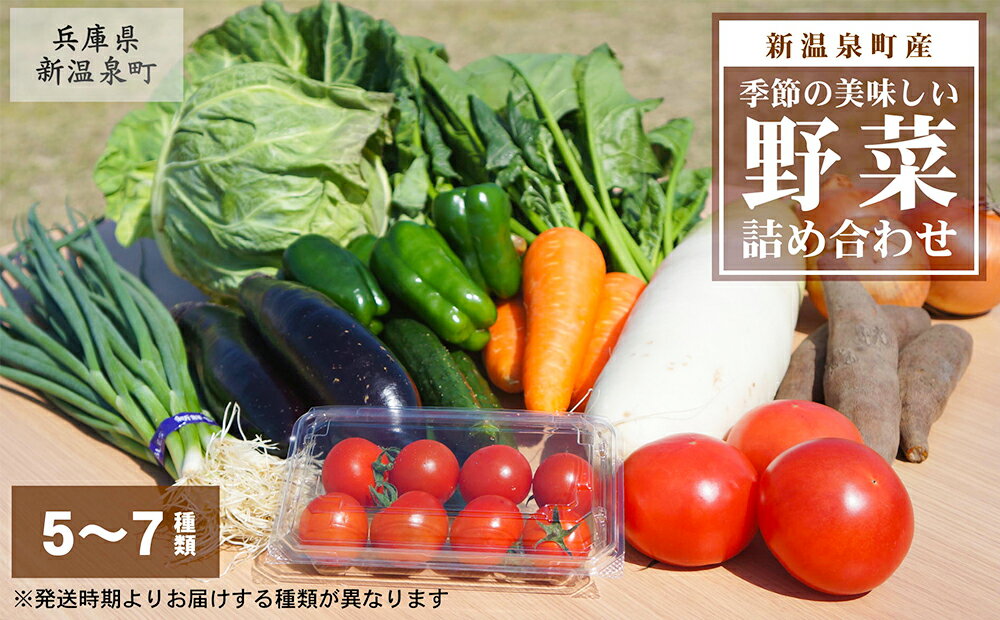 【ふるさと納税】【新温泉町産】季節のおいしい野菜詰め合わせ 5～7種類 セット 大根 白菜 ほうれん草 ピーマン ナス ジャガイモ ネギ カボチャ 玉ねぎ トマト 椎茸 やさい 茸 きのこ キノコ 冷蔵 国産 兵庫県 新温泉町 送料無料 【2025年11月上旬～12月下旬迄発送予定】