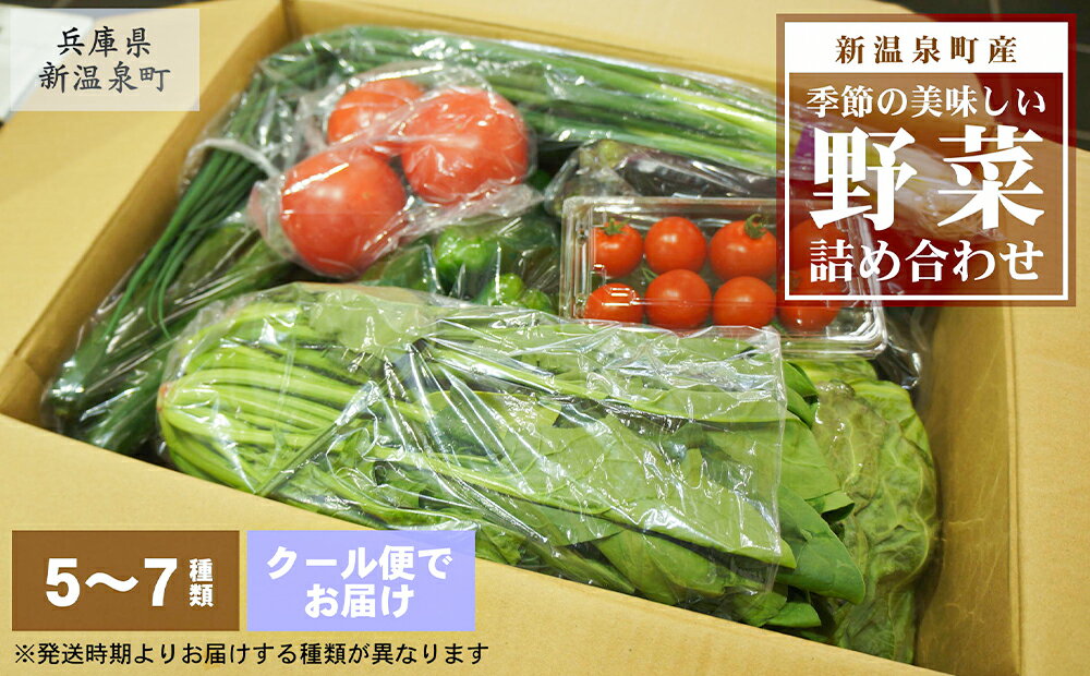 【ふるさと納税】【新温泉町産】季節のおいしい野菜詰め合わせ 5～7種類 セット 大根 白菜 ほうれん草 ピーマン ナス ジャガイモ ネギ カボチャ 玉ねぎ トマト 椎茸 やさい 茸 きのこ キノコ 冷蔵 国産 兵庫県 新温泉町 送料無料 【2025年11月上旬～12月下旬迄発送予定】