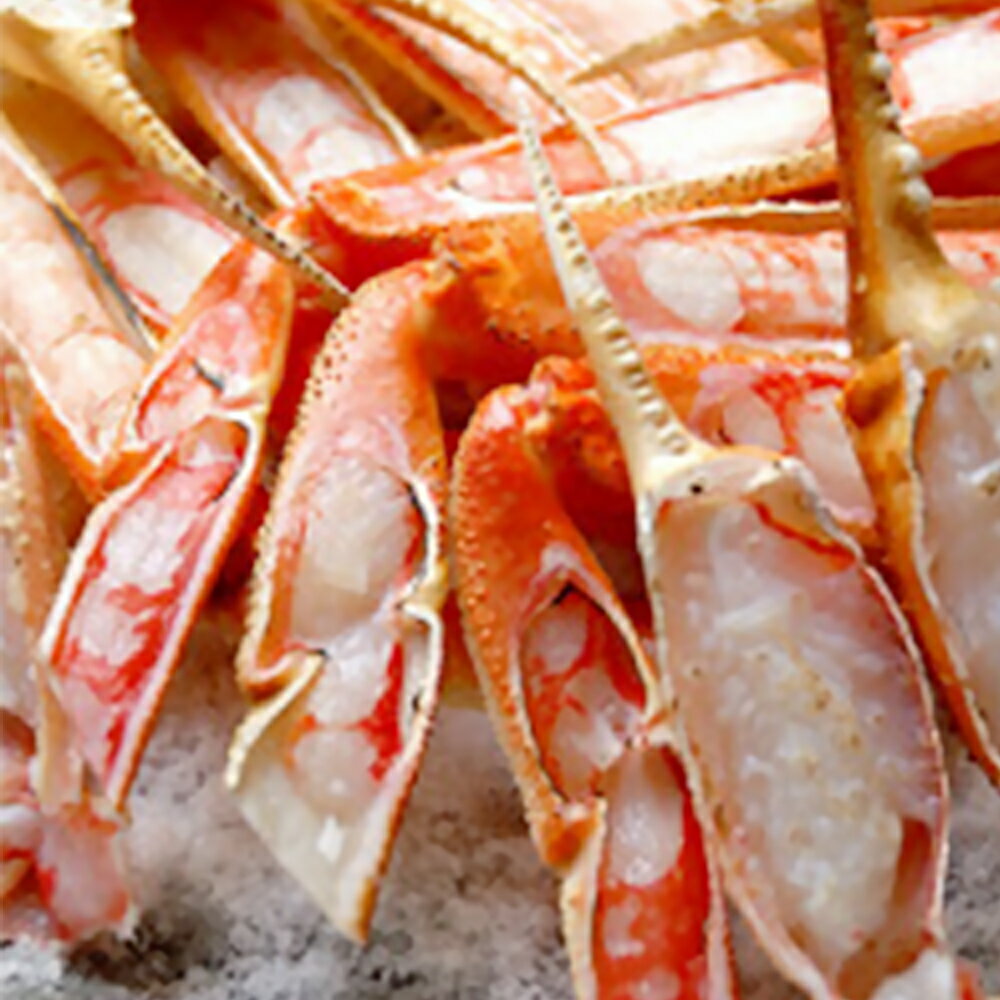 蟹の宿『芦屋荘』(松葉蟹の水揚げ港・浜坂で本場の蟹料理)平日宿泊限定・2名宿泊券(1泊2食)