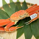 【ふるさと納税】訳あり 釜ゆで松葉ガニ 冷凍 姿 船名タグ付き 400g以上【配送不可地域:離島】【1433203】