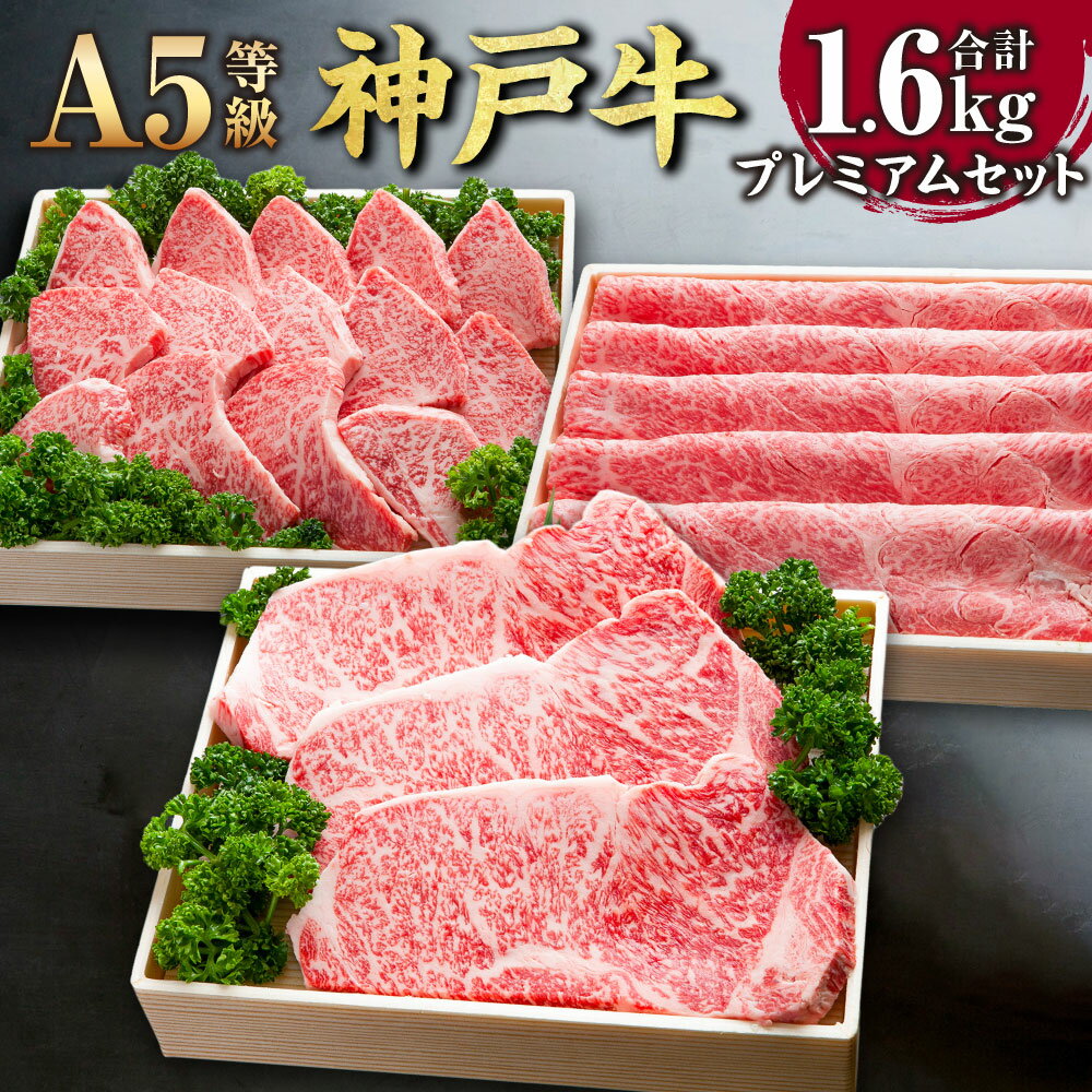 【ふるさと納税】【A5等級】 神戸牛 プレミアムセット SOLS10 計1600g 1.6kg 牛肉 肉 お肉 神戸ビーフ ブランド牛 霜降り サーロイン ステーキ すき焼き しゃぶしゃぶ 焼肉 BBQ バーベキュー セット 冷凍 お取り寄せ 兵庫県 新温泉町 送料無料【2025年2月以降発送予定】