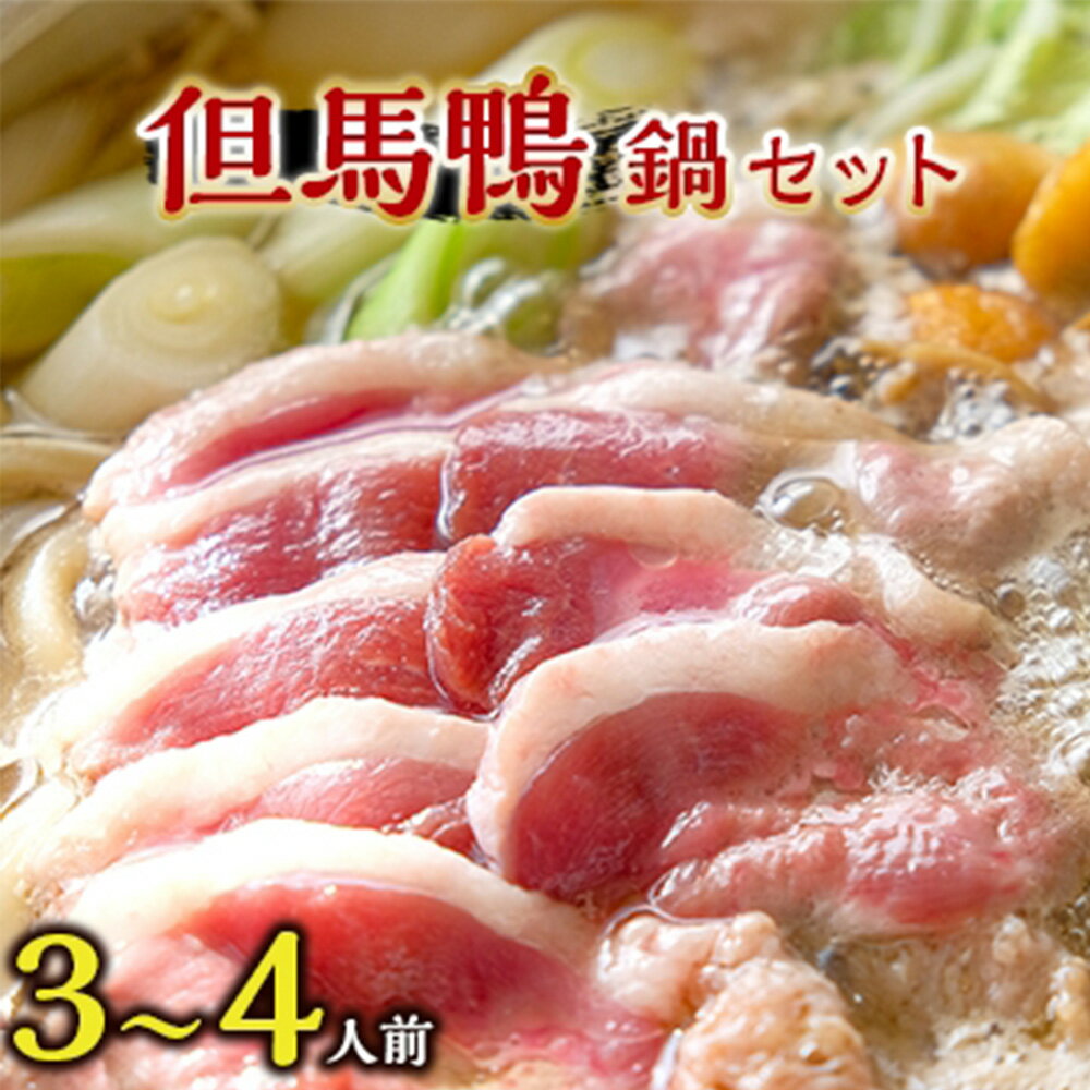 【ふるさと納税】「但馬鴨」鴨鍋セット(小)3～4人前【配送不可地域：離島】【1040256】
