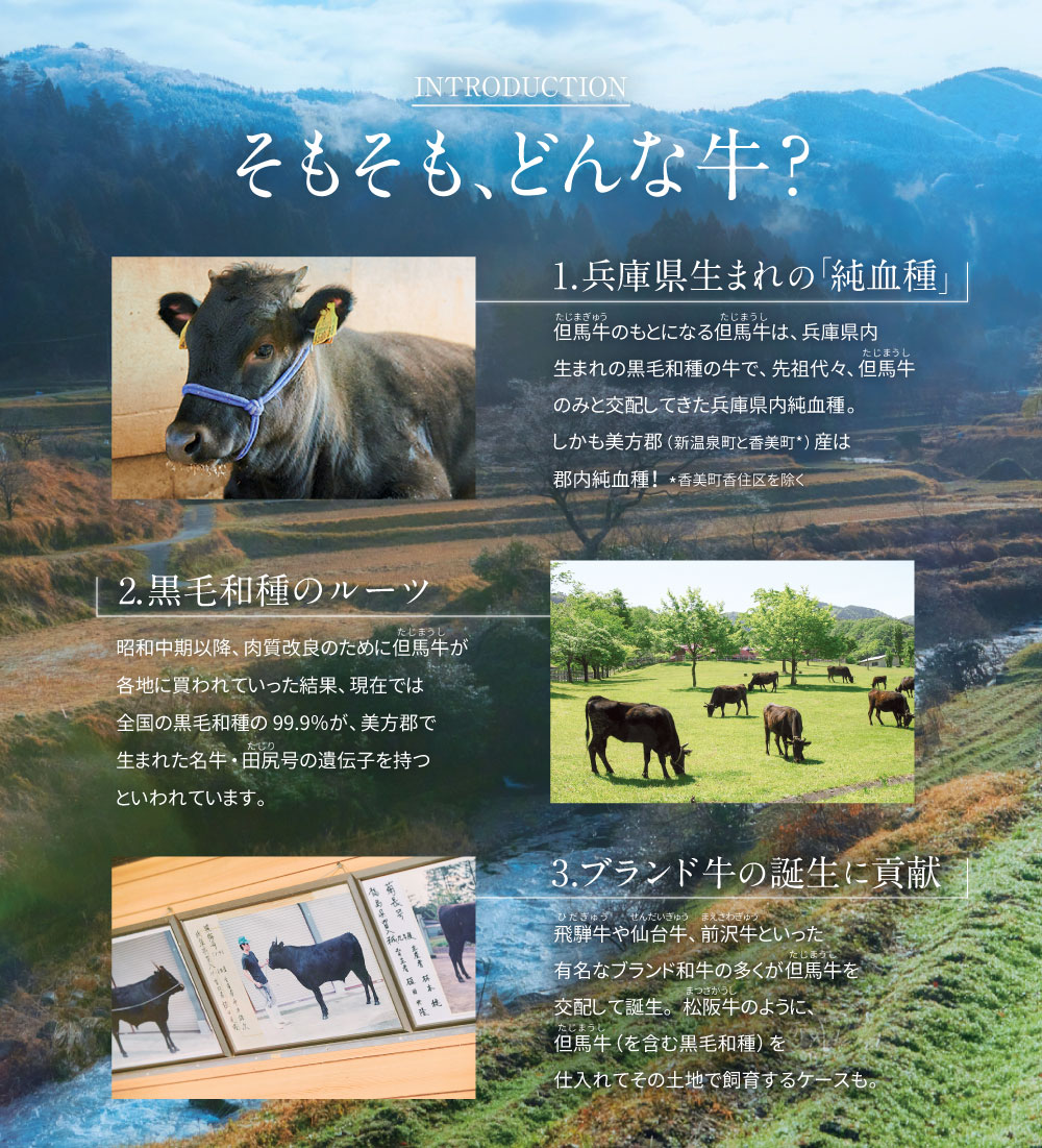 【ふるさと納税】但馬牛　肩ローススライス　1kg【配送不可地域：離島】【1107036】