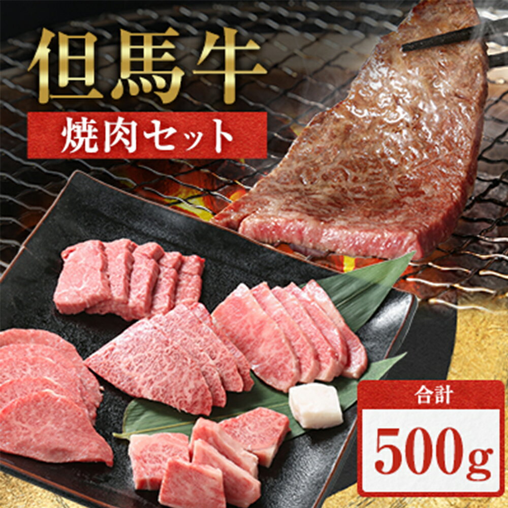 【ふるさと納税】但馬牛焼肉セット【500g】【配送不可地域：離島】【1098409】