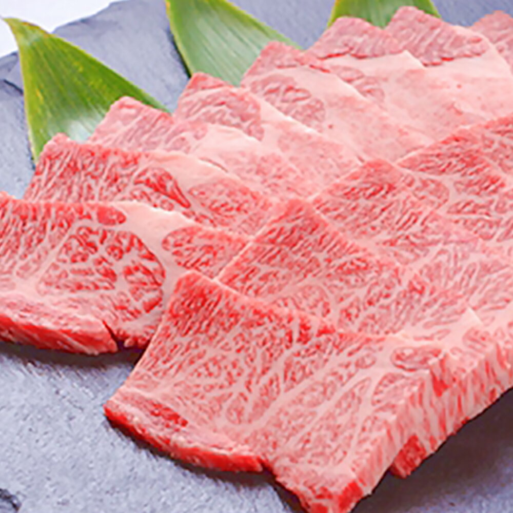 但馬牛 【ふるさと納税】但馬牛霜降り焼肉用【500g】【配送不可地域：離島】【1098412】