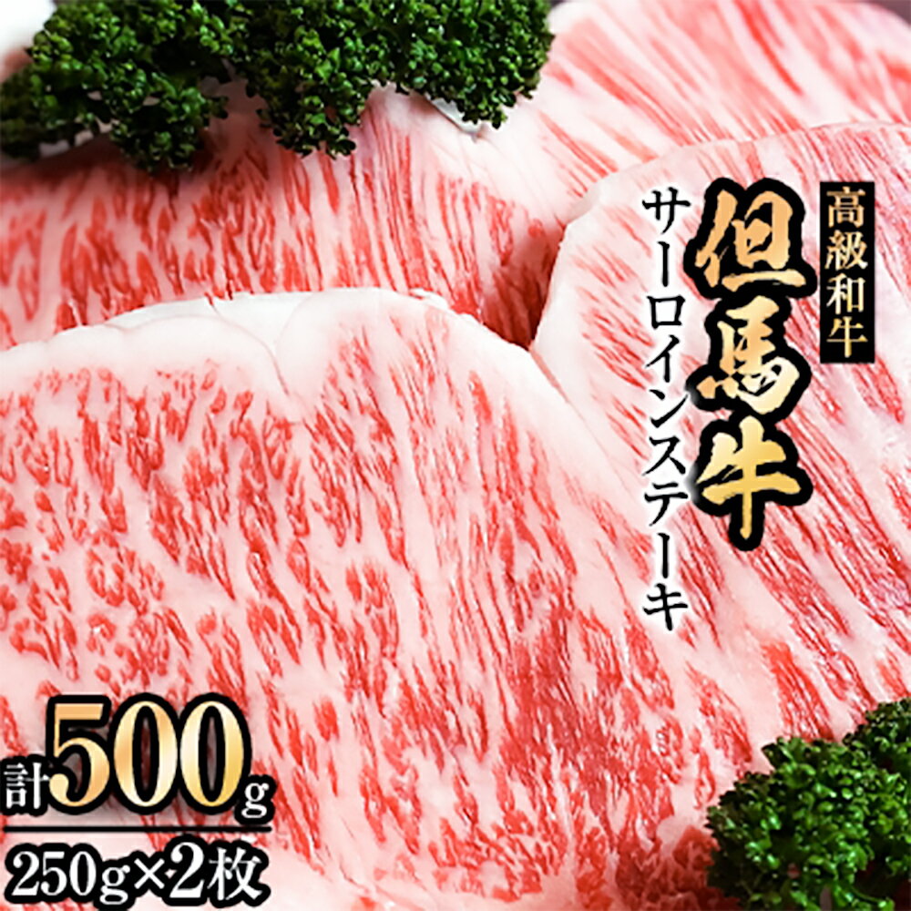 但馬牛 【ふるさと納税】但馬牛サーロインステーキ2枚入り【250g×2】【配送不可地域：離島】【1098414】