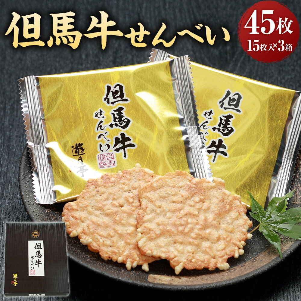 【ふるさと納税】但馬牛せんべい 15枚入り×3箱 合計45枚 煎餅 せんべい お煎餅 菓子 和菓子 お菓子 おやつ 米菓 個包装 兵庫県 新温泉町 送料無料