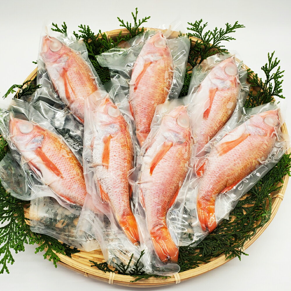山陰の ノドグロ 7尾入 煮付け、塩焼きに! 7尾 100〜150g のどぐろ 魚 おかず おつまみ つまみ アテ 簡単 調理 冷凍 兵庫県 新温泉町 送料無料