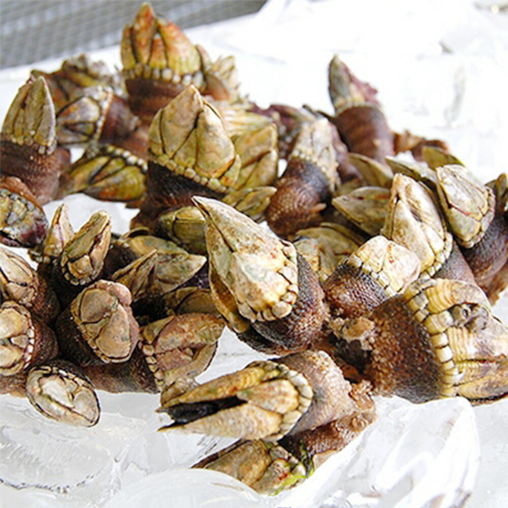 【ふるさと納税】兵庫県新温泉町　亀の手　500g×4袋【配送不可地域：離島】【1089878】のサムネイル