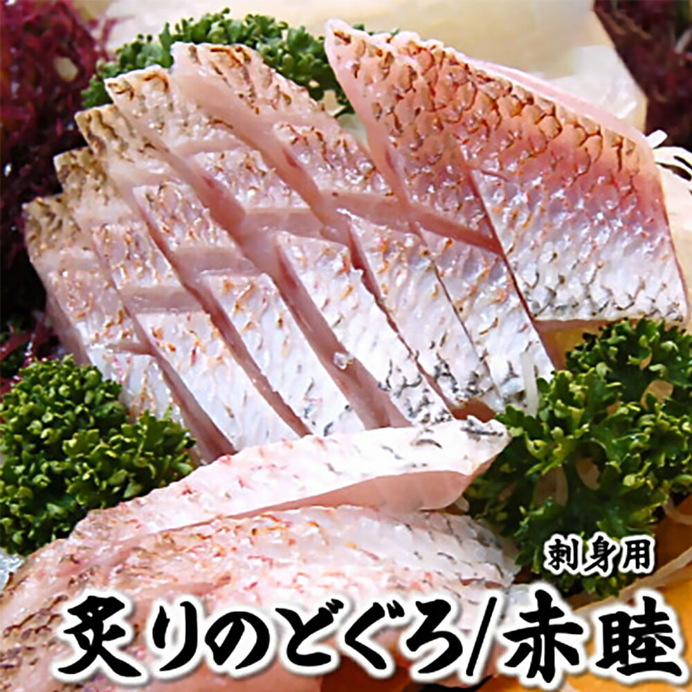 【ふるさと納税】山陰沖　お刺身用あぶりノドグロ　2パック【配送不可地域：離島】【1155814】