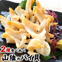 【ふるさと納税】生食可・2種類のバイ貝むき身 各2パック【配送不可地域:離島】【1286882】