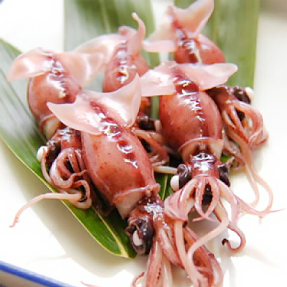 【ふるさと納税】【期間限定】山陰の旬もの 釜揚げほたるいか（冷蔵）500g+素干しホタルイカ 30g 付き ほたるいか ホタルイカ イカ 【配送不可地域：離島・北海道・沖縄県・東北】【1288227】【2025年3月下旬-5月下旬迄発送予定】兵庫県 新温泉町 送料無料のサムネイル