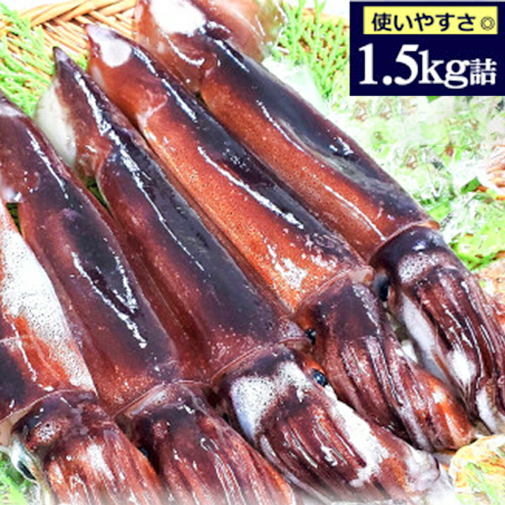 【ふるさと納税】スルメイカ(冷凍)たっぷり約1.5kg　サイズ不揃い　兵庫県新温泉町　【配送不可地域：離島】【1318898】