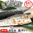 【ふるさと納税】【数量限定】焼いときました!(レンチン)国産 骨取り 塩サバ 5パック 個包装 訳あり 無添加 80g×5パック さば サバ 鯖 塩さば 骨なし...
