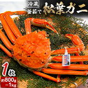 【ふるさと納税】松葉ガニの本場より活〆茹でたてを即出荷 釜茹で 松葉ガニ(冷蔵) 1枚 約800g〜1kg かに カニ 蟹 松葉蟹 ズワイガニ 大型 蟹味噌 カ...