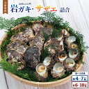 【ふるさと納税】<選べる内容量>山陰の天然岩ガキ・サザエ詰合 大きさにより各4〜7個・各6〜10個 セット 詰め合わせ 牡蠣は殺菌済 下処理済 生食OK さざえ...