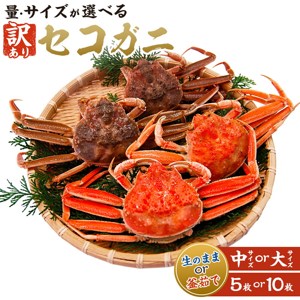 【ふるさと納税】【訳あり】松葉ガニの本場・生セコガニ/釜茹でセコガニ(冷蔵)中〜大サイズ 5枚 または 10枚 セコガニ 蟹 カニ かに 松葉ガニ 生 釜茹で ...