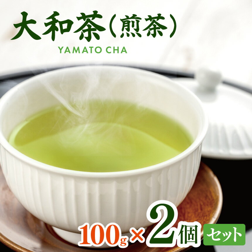 【ふるさと納税】大和茶 (煎茶) 100g × 2個セット