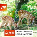 【ふるさと納税】【奈良県】JTBふるさと旅行クーポン(Eメール発行)(3,000円分〜1,500,000円分)