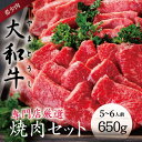 48位! 口コミ数「1件」評価「5」 大和牛 焼肉セット 牛肉 ロース 上カルビ 牛肉 特上牛肉 肉 肉料理 焼き肉 黒毛和牛 特選和牛 ロース肉 美味しい肉 国産牛肉 黒毛和･･･ 