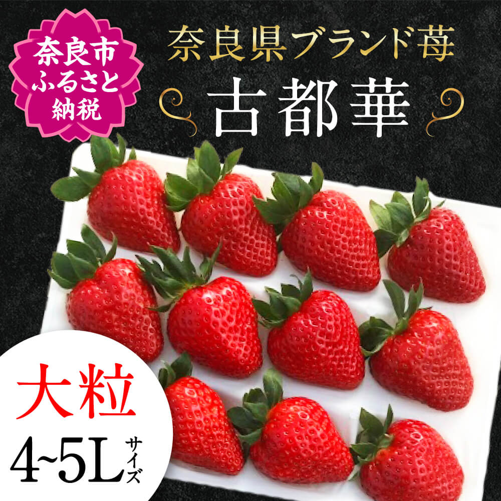 【ふるさと納税】【予約販売】宝石のような濃いルビー色 古都華 奈良ブランド苺 いちご 大粒 4L～5L 2025年1月～数量限定にて順次お届けいたします。　IK-01 苺 甘い苺 いちご ブランド苺 フルーツ 果物 イチゴ なら