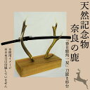 【ふるさと納税】天然記念物奈良の鹿「春日鹿角一双」刀置き杉台 一般財団法人奈良の鹿愛護会 奈良県 奈良市 なら BD-02