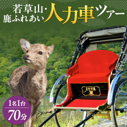 人力車で楽チン観光【70分】若草山・鹿ふれあい人力車ツアー 1名1台　株式会社麻世勝エビス なら 旅行 巡り ガイド 人力車