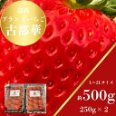【ふるさと納税】奈良のプレミアムいちご「古都華」500g L~2Lサイズ2パック いちご 苺 イチゴ ブランド 古都華 大粒 旬 産地 直送 フルーツ 贈答用 ...