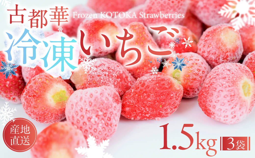 【ふるさと納税】【数量限定】古都華 の 冷凍いちご(古都華) 大ちゃんの厳選いちご 奈良ブランド苺 イチゴ 大粒 旬 産地直送 フレッシュ フルーツ 果物 国産 ベリー 冷凍 人気苺 ふるさと納税苺 ふるさと苺 furusato苺 おすすめ苺 いちご農家だるま 奈良県 奈良市 10-025