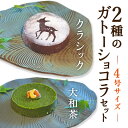 【ふるさと納税】 2種のガトーショコラセット(大和茶・クラシック) ライフフード株式会社 奈良市 なら