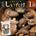【ふるさと納税】【上質大パック】 乾燥しいたけ 合同会社knot J-125