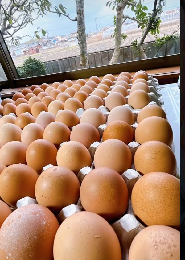 奈良県奈良市の画像3