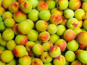 奈良県奈良市の画像3