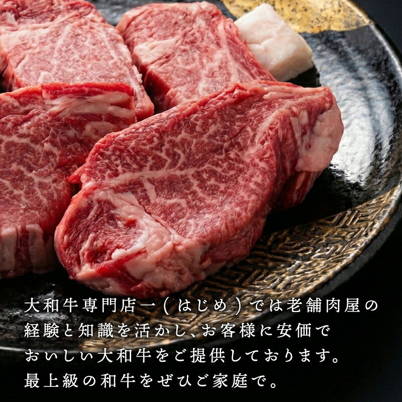 【ふるさと納税】 黒毛和牛 ヒレ ステーキ 【選べる枚数】160g×3～5枚 牛肉 A4 以上 A5 大和牛 特選 和牛 ステーキ ヒレ肉 ヒレ ヒレステーキ ふるさと納税 ステーキ 焼き肉 肉 国産 赤身 希少 焼肉 高級 キャンプ 贈り物 ギフト お祝い 記念日 なら 奈良県 奈良市 F-33