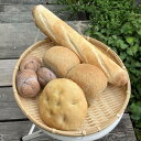 【ふるさと納税】パン 定期便 12か月分 お楽しみ詰合せセット ヴィーガン ぱん カラダとココロがよろこぶパン【定期便】乳・卵なし パンセット 12 か月 くり...