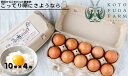 【ふるさと納税】飛鳥の卵 10個×4箱 たまご 卵 玉子 タマゴ 鶏卵 オムレツ 卵かけご飯 たまご焼き 古都 風雅ファーム 奈良市なら 15-011