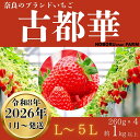 【ふるさと納税】★★2026年予約販売開始★★【2026年(令和8年)1月〜発送】のぼるちゃんファーム の 古都華いちご 限定出荷 奈良ブランド苺 260g 合...