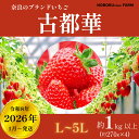 【ふるさと納税】 【 先行予約 / 数量限定 】 いちご 1kg 以上 ( 270g × 4P ) 新鮮 産地 直送 厳選 【2026年1月以降発送】 旬 ブランド イチゴ 苺 古都華 フルーツ 果物 くだもの 国産 限定 大粒 ベリー 贈答用 人気 おすすめ デザート スイーツ 奈良県 奈良市 なら 11-108