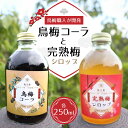 【ふるさと納税】烏梅コーラと完熟梅シロップのセット 梅古庵 奈良県 奈良市 なら 17-004