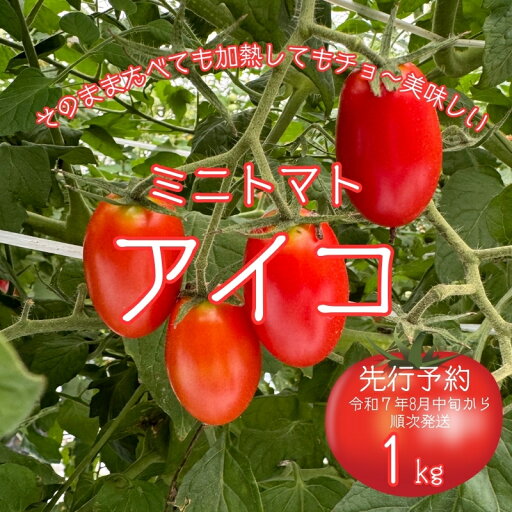 【ふるさと納税】【先行予約】令和7年8月中旬から順次発送 ミニトマト アイコ1キロ 酸味 みずみずしさ とまと トマト 夏秋 ぴの山ファーム 奈良県 奈良市 なら 9-100 【ふるさと納税】【先行予約】令和7年8月中旬から順次発送 ミニトマト アイコ1キロ 酸味 みずみずしさ とまと トマト 夏秋 ぴの山ファーム 奈良県 奈良市 なら 9-100
