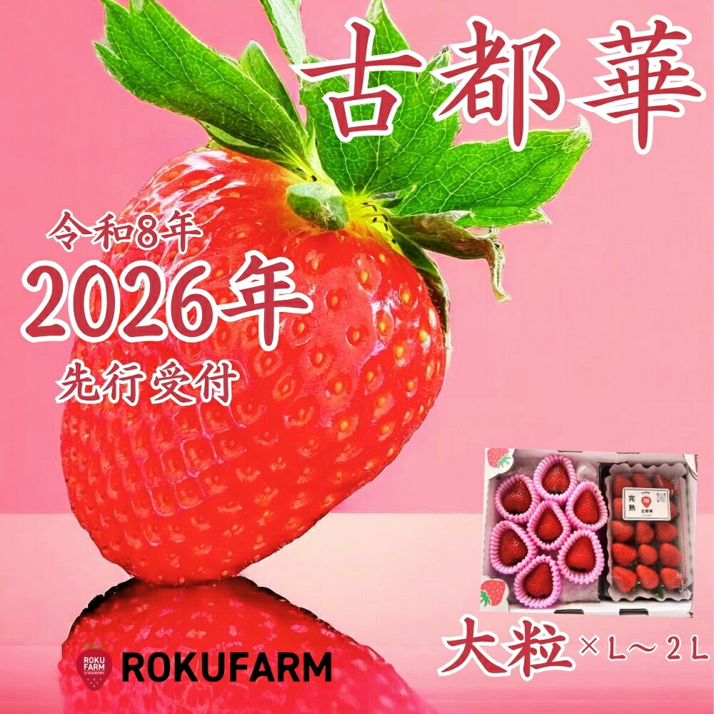 【ふるさと納税】★★2026年予約販売開始★★【2026年(令和8年)1月〜発送】愛情たっぷり古都華(大粒とL〜2Lセット)限定出荷 いちご 苺 イチゴ ブランド 古都華 大粒 旬 産地 直送 おすすめ 奈良県 奈良市 なら 15-068