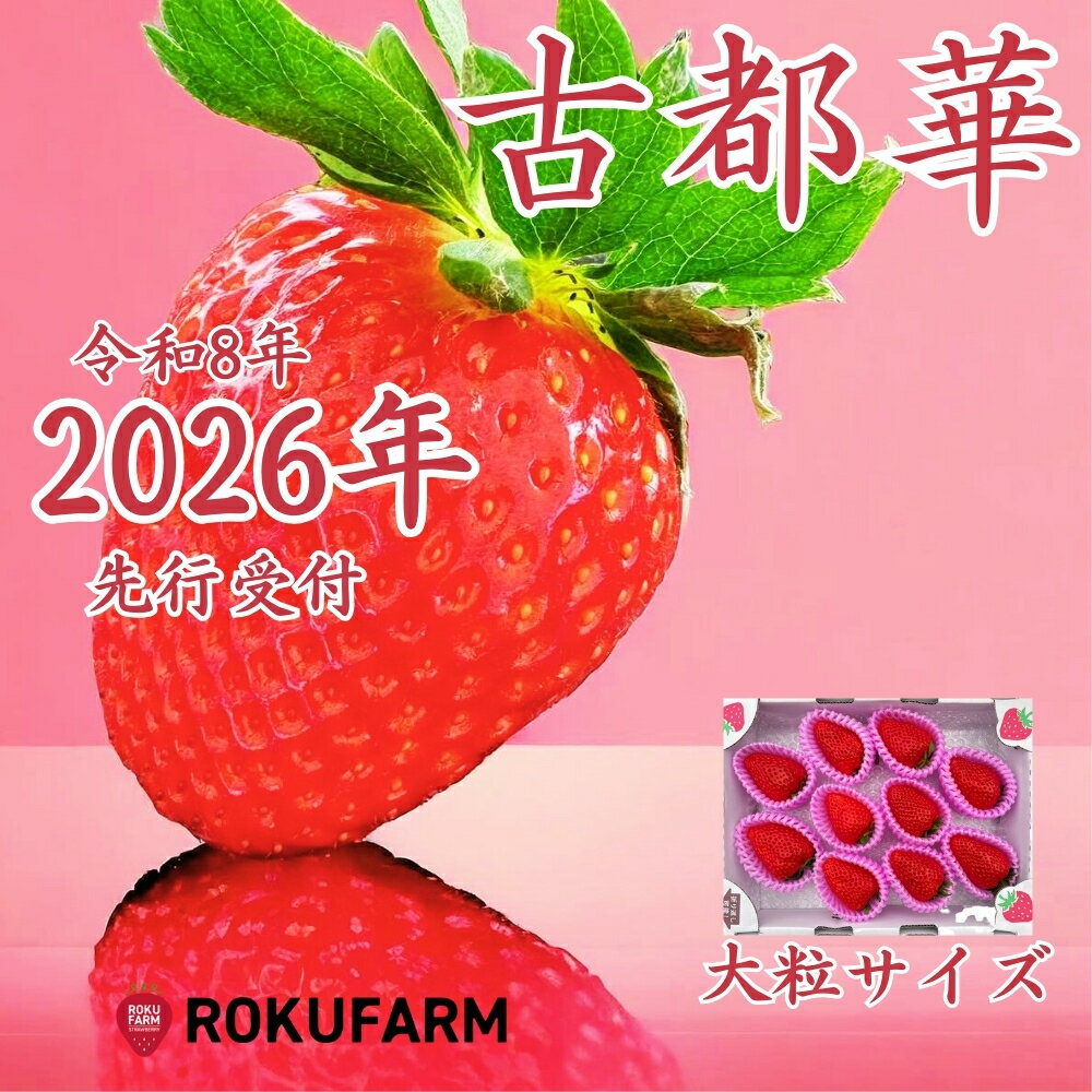 【ふるさと納税】★★2026年予約販売開始★★【2026年(令和8年)1月~発送】愛情たっぷり古都華(大粒サイズ)限定出荷 いちご 苺 イチゴ ブランド 古都華 大粒 旬 産地 直送 おすすめ 奈良県 奈良市 なら 20-050