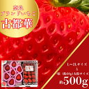 【ふるさと納税】苺 奈良のいちご「古都華」大粒サイズとL~2Lセット いちご 苺 イチゴ ブランド 古都華 大粒 旬 産地 直送 フルーツ 贈答用 プレゼント ...