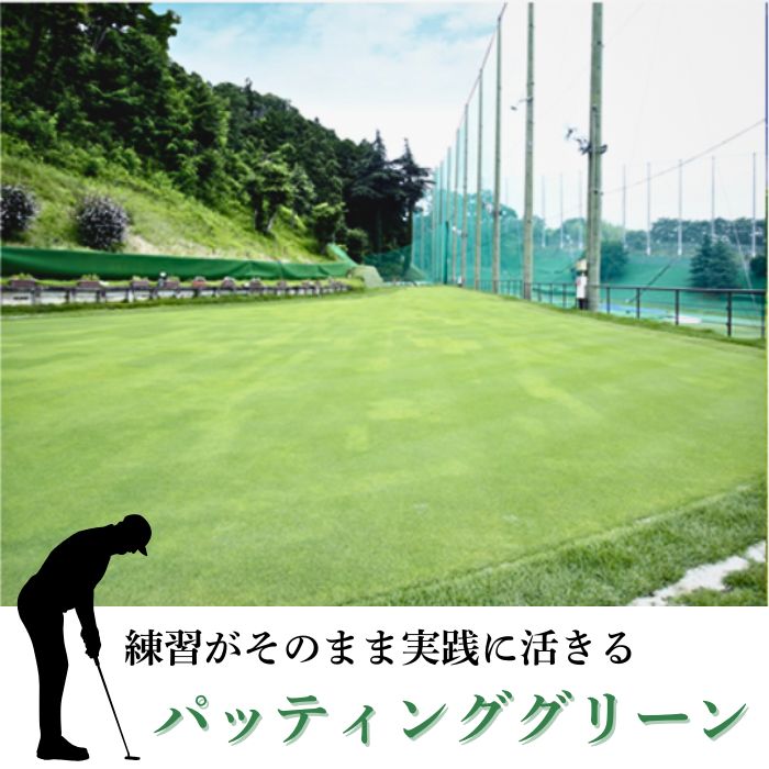【ふるさと納税】 【3か月定期便】 ゴルフ練習場利用券【3,000円分×3回】 佐保ゴルフ倶楽部 ゴルフ ゴルフ場 ゴルフ場利用券 練習 打ちっ放し ドライバー アイアン フェアウェイ パッティンググリーン 奈良県 奈良市 奈良 なら 関西 30-102