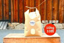 令和5年産 奈良のお米 定期便：モチモチのにこまる10kg×10回コース：毎月発送 米 お米 ごはん にこまる 腹持ち 定期便 なら