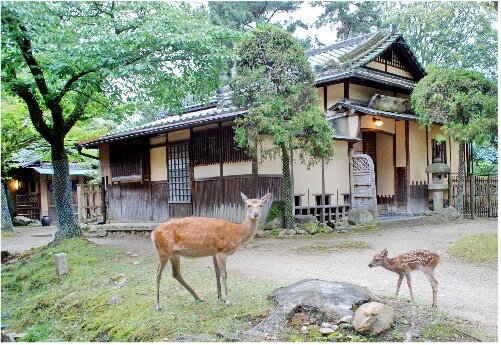 【ふるさと納税】江戸三 1泊2食付宿泊券（2名様1室）有限会社 江戸三 奈良市 なら