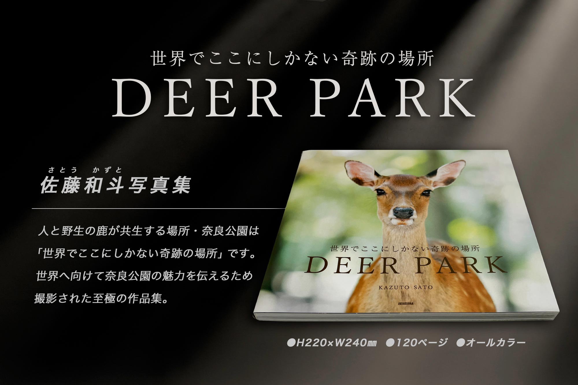 9位! 口コミ数「0件」評価「0」奈良の鹿 写真集「DEER PARK 世界でここにしかない奇跡の場所」 なら I-193