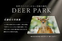 【ふるさと納税】奈良の鹿 写真集「DEER PARK 世界でここにしかない奇跡の場所」 なら I-193