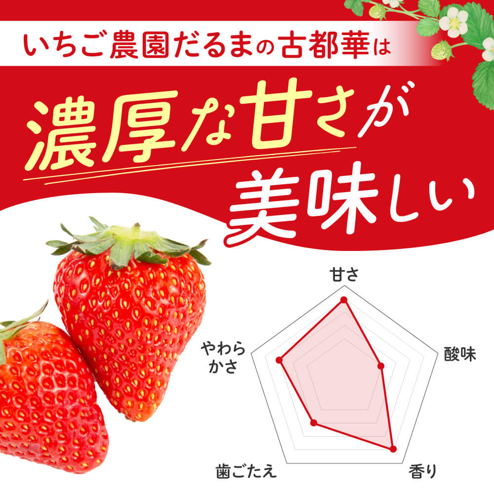 【ふるさと納税】古都華 いちご 産地直送 苺 4パック 約1080g いちご 厳選 いちご農家だるま 数量限定 イチゴ 果物 スイーツ 奈良市 なら 大ちゃんの古都華 I-285